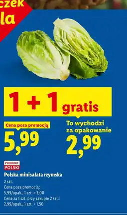 Lidl Sałata rzymska Polski oferta