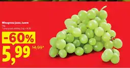 Lidl Winogrona oferta