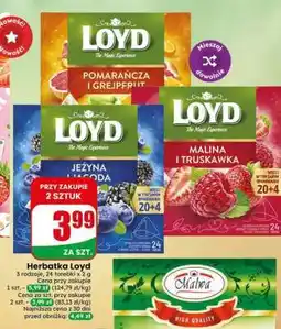 Dino Herbatka Loyd oferta