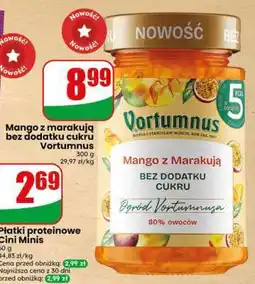 Dino Mango z marakują bez dodatku cukru Vortumnus oferta