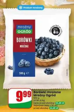 Dino Borówki mrożone Mroźny Ogród oferta