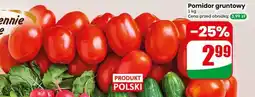 Dino Pomidor gruntowy oferta