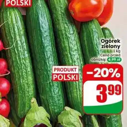 Dino Ogórek zielony oferta