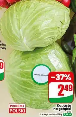 Dino Kapusta na gołąbki oferta
