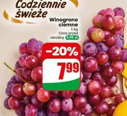 Dino Winogrono ciemne oferta