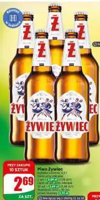 Dino Piwo Żywiec oferta
