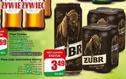 Dino Piwo Żubr Szlachetny Mocny oferta