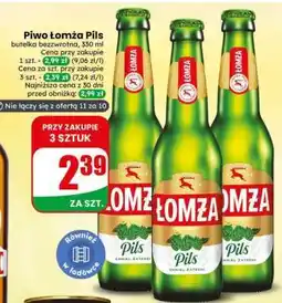 Dino PIWO ŁOMŻA PILS oferta