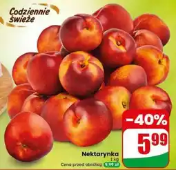 Dino Nektarynka oferta