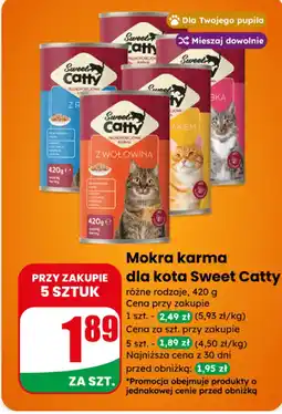 Dino Mokra karma dla kota Sweet Catty oferta