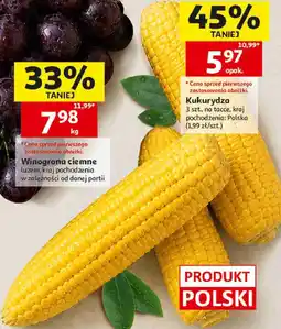 Auchan Kukurydza oferta