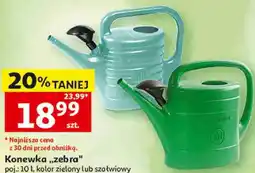 Auchan Konewka „zebra” oferta