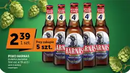 Groszek Piwo Harnas oferta