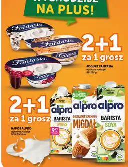 Groszek Jogurt Fantasia oferta