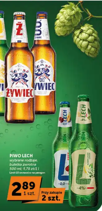 Groszek Piwo Lech oferta