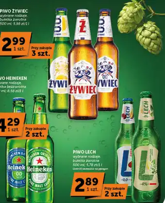 Groszek Piwo Żywiec oferta