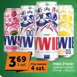 Groszek Piwo Żywiec oferta