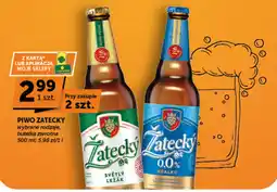 Groszek PIWO ZATECKY oferta
