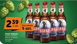 Groszek Piwo Harnas oferta