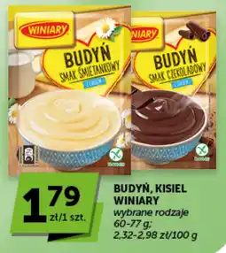 Groszek Budyń, kisiel Winiary oferta
