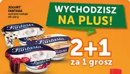 Groszek Jogurt Fantasia oferta