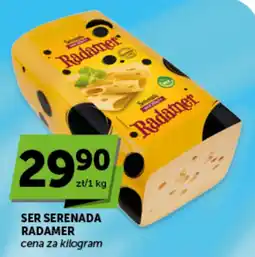 Groszek Ser Serenada Radamer oferta