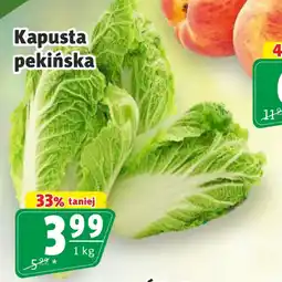 Prim Market Kapusta pekińska oferta