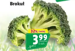 Prim Market Brokuł oferta