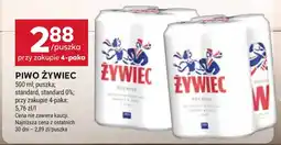 Stokrotka Market Piwo Żywiec oferta