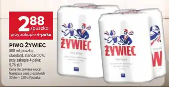 Piwo Żywiec
