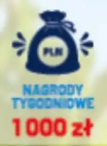 Groszek Nagrody Tygodniowe oferta