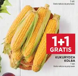 Stokrotka Market Kukurydza Kolba oferta