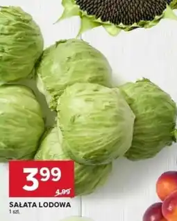 Stokrotka Market Sałata Lodowa oferta