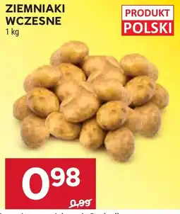 Stokrotka Ziemniaki Wczesne oferta