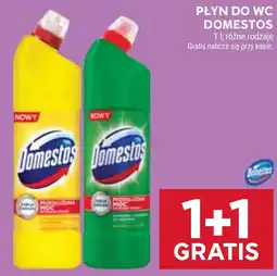 Stokrotka Płyn do WC Domestos oferta