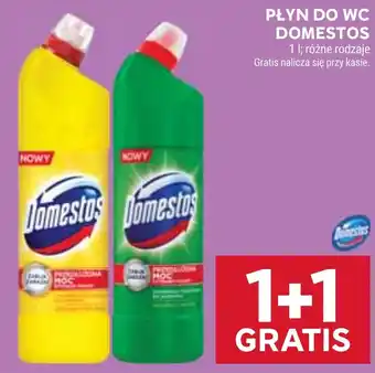 Stokrotka Płyn do WC Domestos oferta