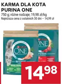 Stokrotka Market Karma dla kota Purina One oferta