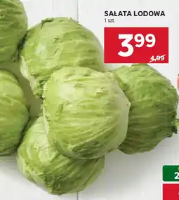Stokrotka Sałata Lodowa oferta