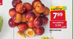 Stokrotka Nektarynki oferta