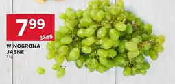 Stokrotka Winogrona Jasne oferta