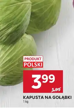 Stokrotka Kapusta Na Gołąbki oferta