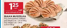 Stokrotka BUŁKA MUSZELKA oferta