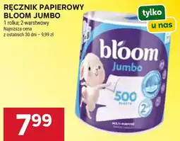 Stokrotka Market Ręcznik Papierowy Bloom Jumbo oferta