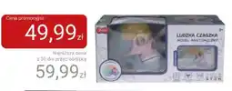 Smyk Ludzka Czaszka Model Anatomiczny oferta