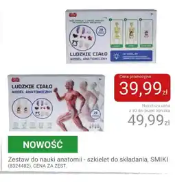 Smyk Zestaw do nauki anatomii - szkielet do składania, SMIKI oferta