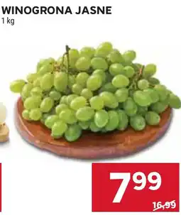 Stokrotka Winogrona Jasne oferta