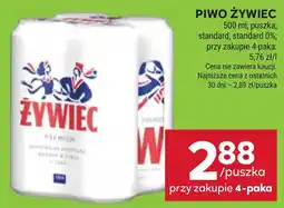 Stokrotka Piwo Żywiec oferta