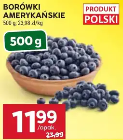 Stokrotka Market Borówki Amerykańskie oferta