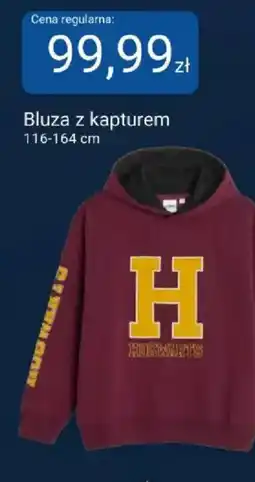 Smyk Bluza z kapturem oferta