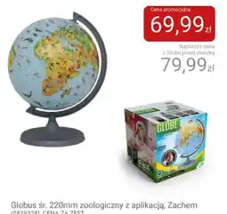 Smyk Globus śr. 220mm zoologiczny z aplikacją, Zachem oferta